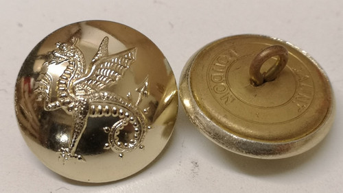 Wessex regiment wyvern - wessex,