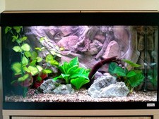 Aquarium Background 3D Amazon