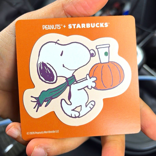 Starbucks snoopy pumpkin - starbucks,