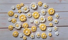 (01) Yellow and White Edible