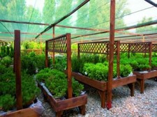 Greenhouse shade net Scaffold Debris Netting, 3m x 10m, 20m or 50m Green or Blue