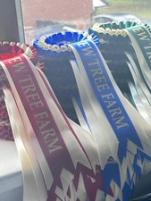 Rosette Packs 1st To 6th