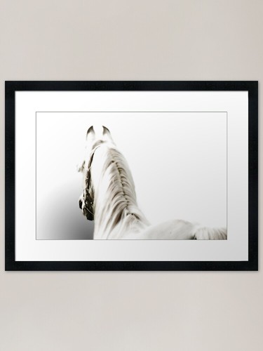 White arabian horse framed - arabian, art
