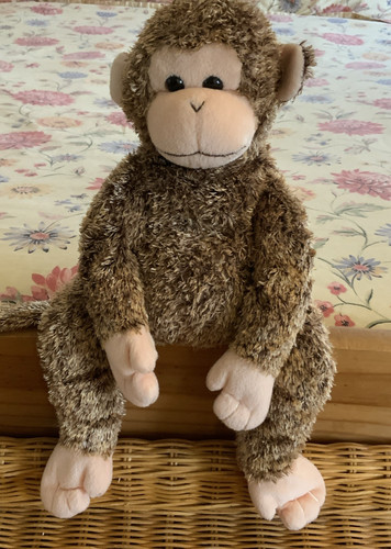 Beanie buddies collection - ty,