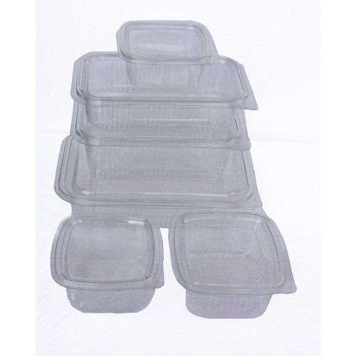Clear plastic hinged - lid, salad