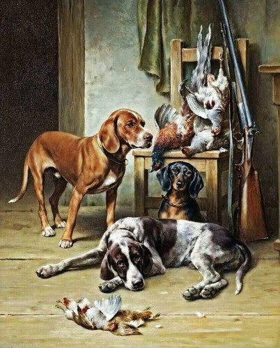 Hunting gun dog - hunting, large
