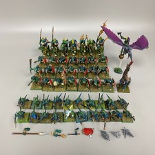 LIZARDMEN BUNDLE WARHAMMER THE