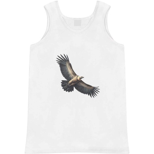 Andean condor flying adult - condor, flying'