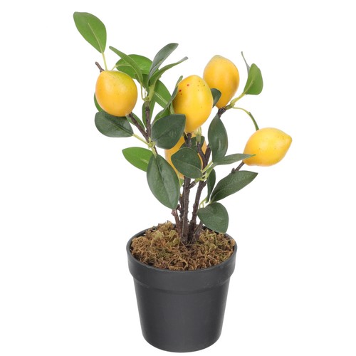 Decorative realistic bonsai - decorative,