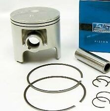 Kawasaki JS440 JS 440 "WSM"