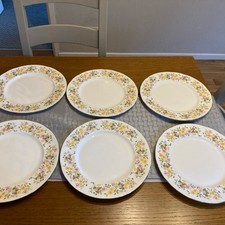 Colclough Hedgerow - 6 Dinner