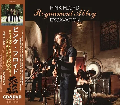 Pink floyd excavation - pink,