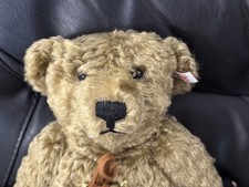 Steiff Baby Hot Water Bottle Bear. With Original Bag Beautiful bear