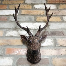 Stag Head Wall Ornament