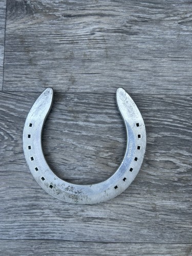 Lucky horseshoe genuine - horseshoe, race