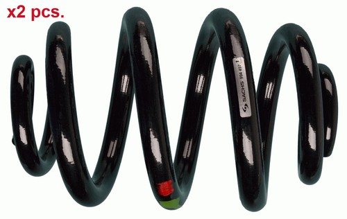 Pcs rear coil - x2, set
