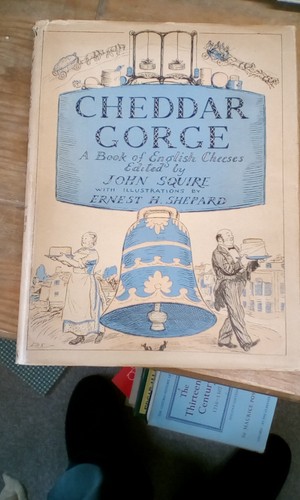 Cheddar gorge book of - gorge,