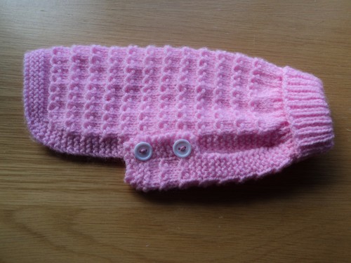 Hand knitted dog - hand,