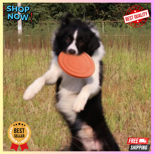 Dog training soft thin frisbee - training,