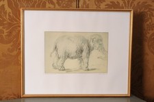 "An Elephant" by Rembrandt van