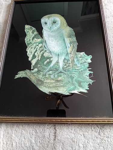 Stunning vintage owl foil - stunning,