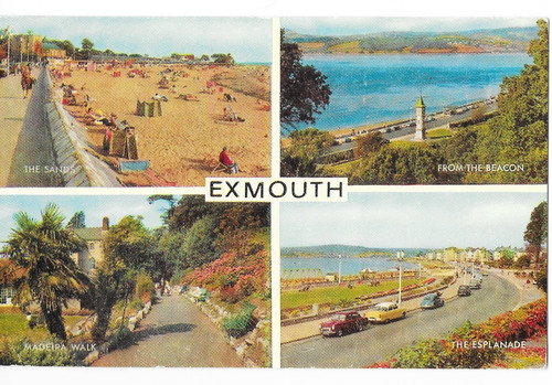 Postcard exmouth multi - exmouth,