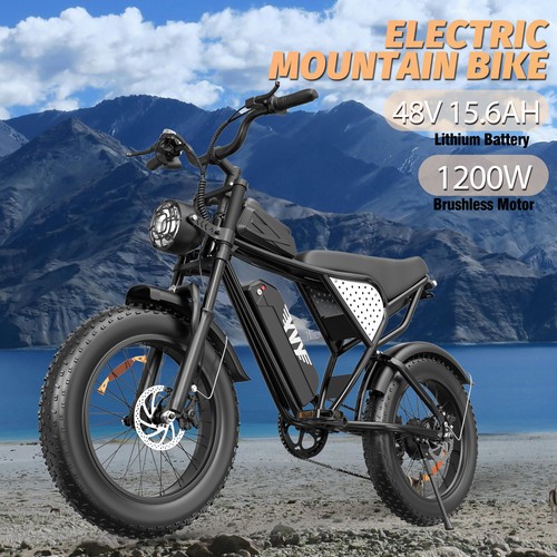 Yvy electric bike 250w 48v - bike,