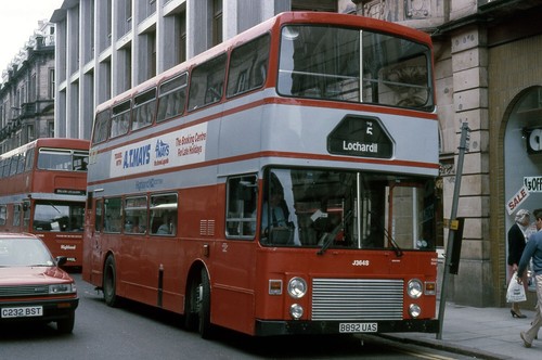 Highland scottish j364 - scottish,