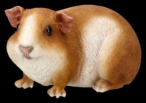 Garden figure guinea pig - -,