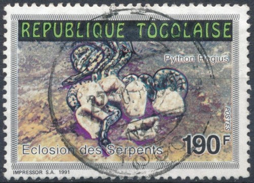 The royal python 190f togo - royal,