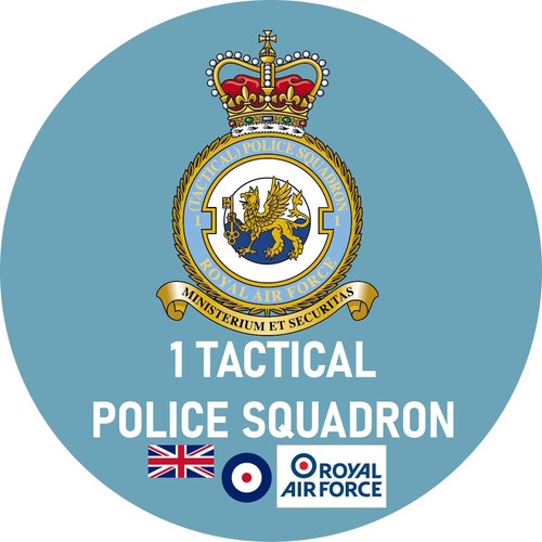 Raf pin badge choose your - choose,
