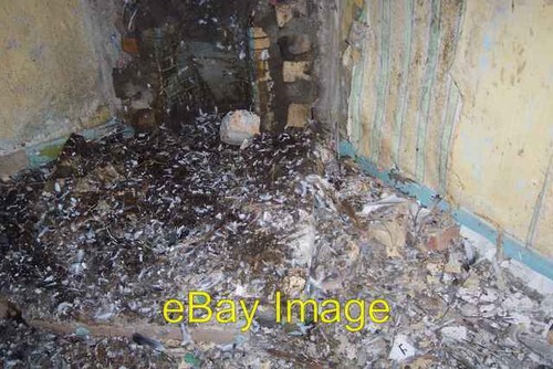 Photo 6x4 pigeon house - 6x4,