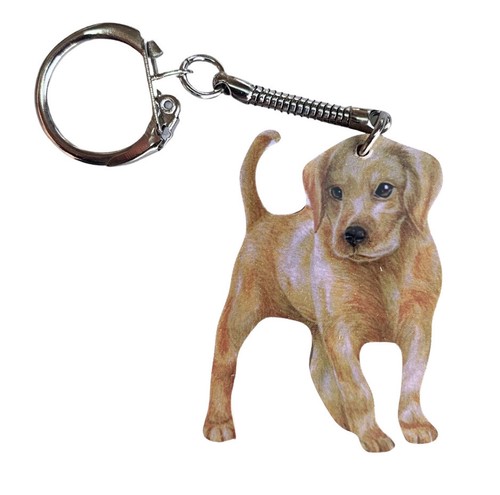 Golden labrador puppy - golden, keyring