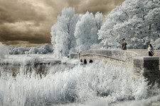 Nikon D5000 Full Spectrum converted camera. For infrared photography