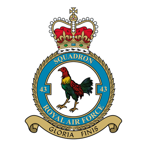 Squadron raf badge - no.,