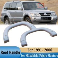 2X Pillar Roof Handle for