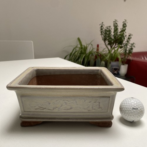 Bonsai pot 8x13 7cm wide - bonsai, 17.8x13.7cm
