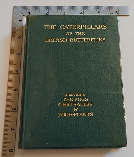 The caterpillars - the,