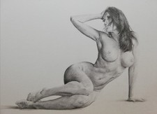 Erotic nude drawing - erotic,