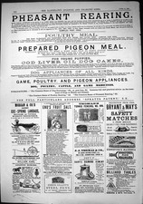 Old Print 1884 Pheasant Rearing Morganlandaus Eno'S Salt Billiard Tables 19th