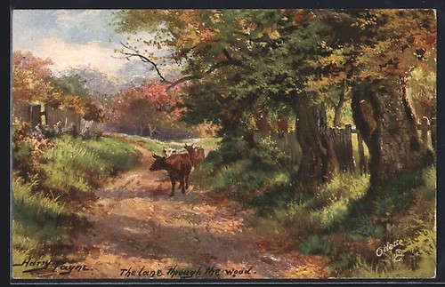 Artist harry payne the - harry, payne: