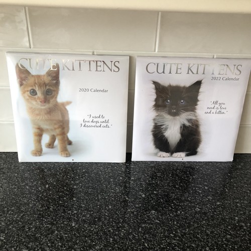 Cute kittens 2020 and - cute,