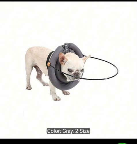 Pet anti collision ring - pet,