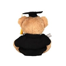 Mumbles Graduation bear
