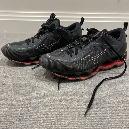 Mizuno wave prophecy - wave, 13