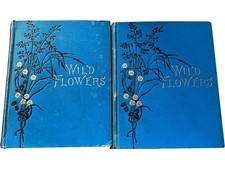 Wild Flowers First and Second