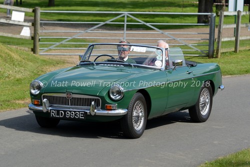 Car photo 12x8 - photo,