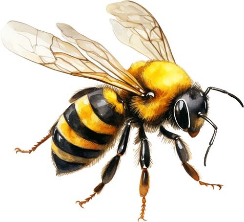 Watercolour bumble bee wall - watercolour,