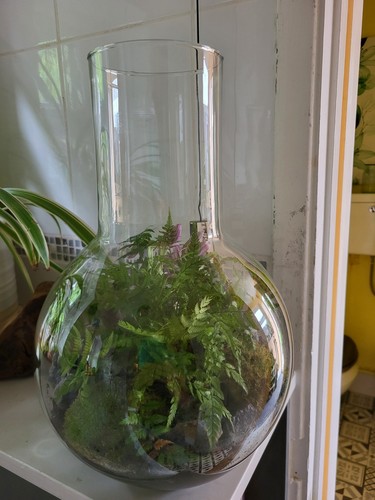 Ecoglass boiling flask - ecoglass,