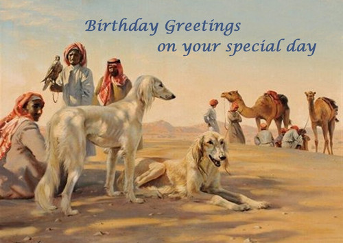 Saluki dog birthday - birthday, card